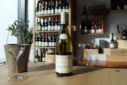 Chablis 2023 - Domaine Séguinot-Bordet