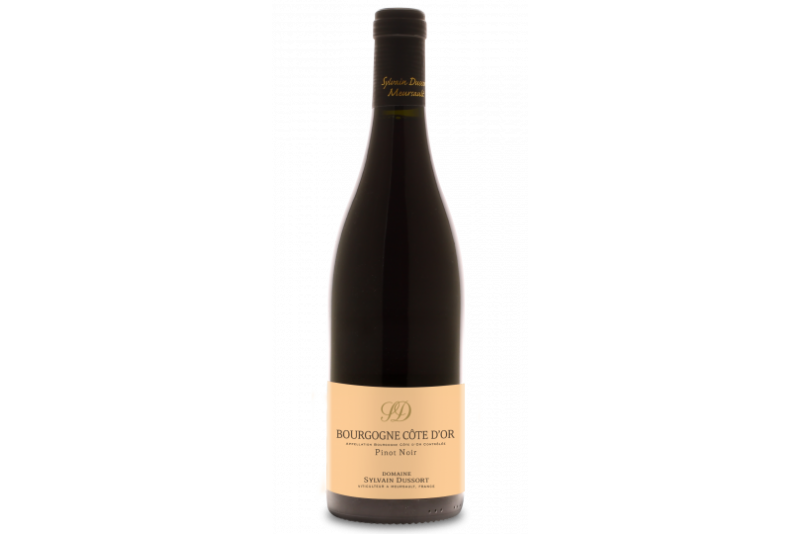 Bourgogne Côte d'Or Pinot noir 2020 - Domaine Sylvain Dussort Bourgogne Côte d'Or Pinot noir 2020 - Domaine Sylvain Dussort