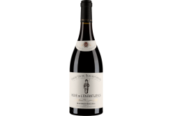 Vigne de l'Enfant Jésus 1er Cru Beaune Grèves 2020 - Domaine Bouchard Père & Fils