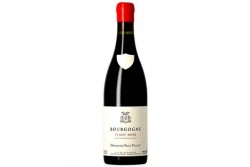 Bourgogne Pinot noir 2022 - Paul Pillot