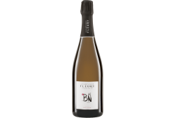 Fleury "Blanc de Noirs" Brut - Champagne