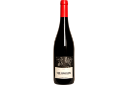 Magnum "Clos Durandière" Saumur rouge 2020 - Étienne Bodet
